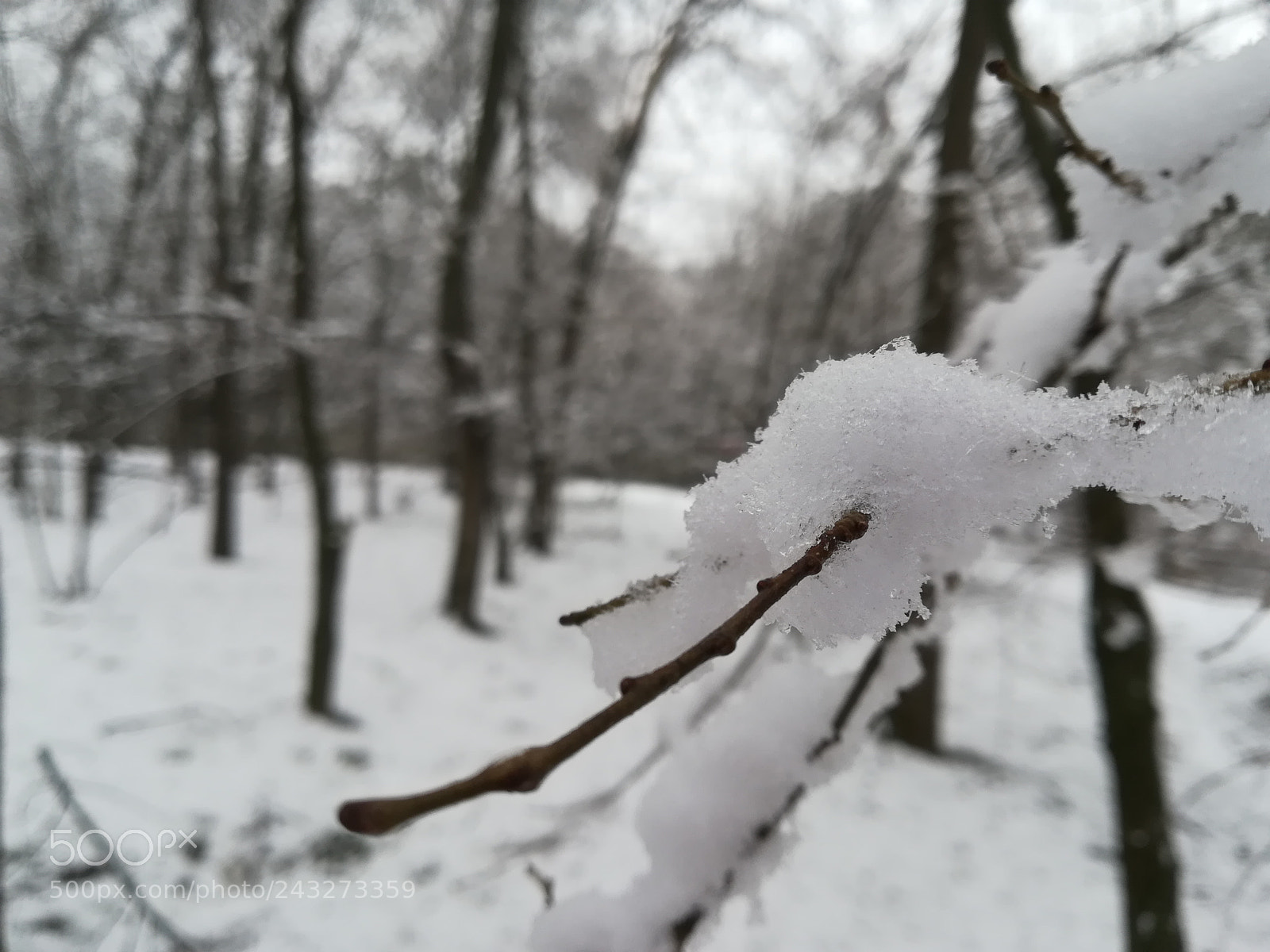 HUAWEI P10 lite sample photo. Untitled photography