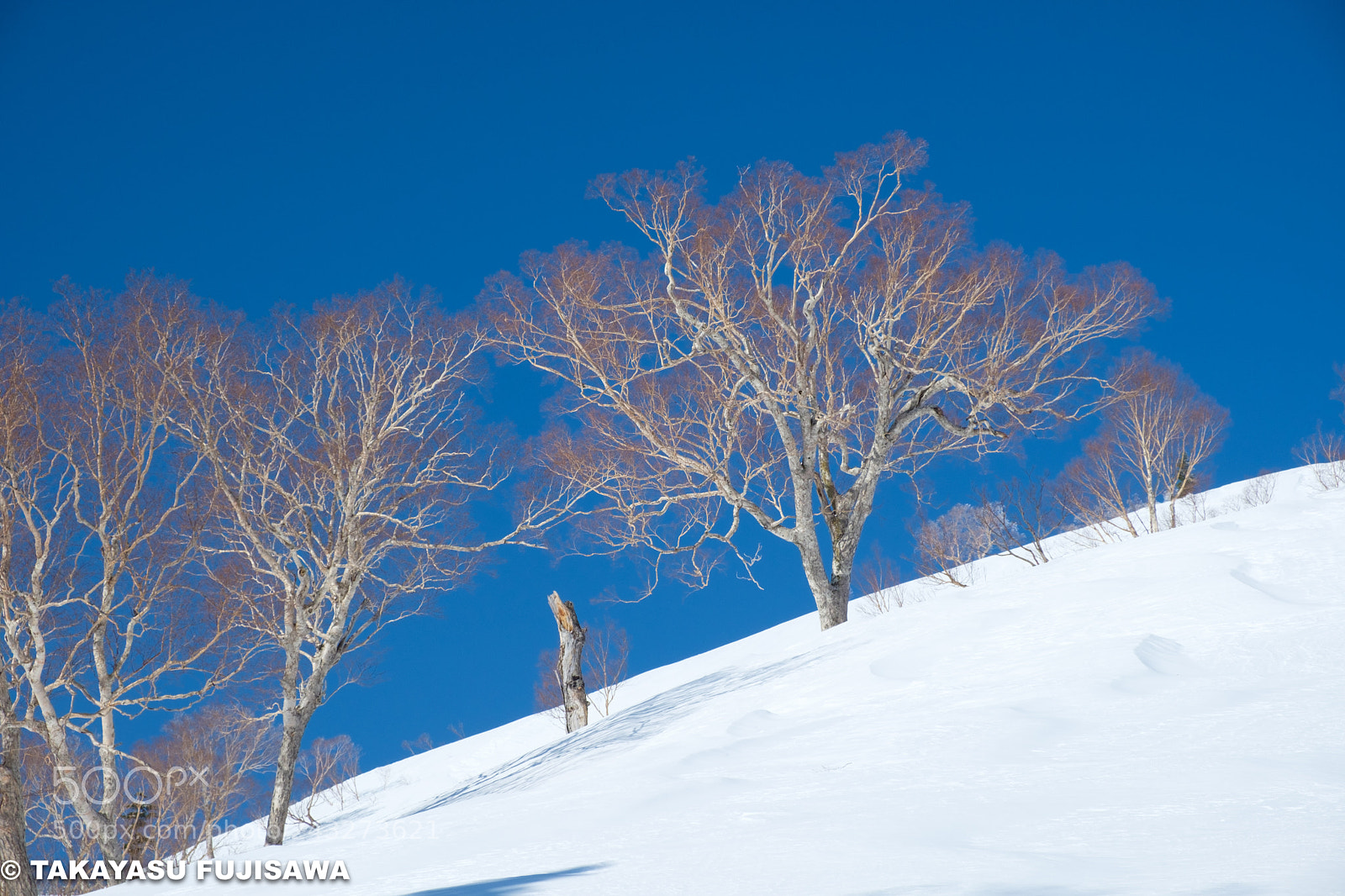 Fujifilm X-T20 sample photo. Blue&white photography