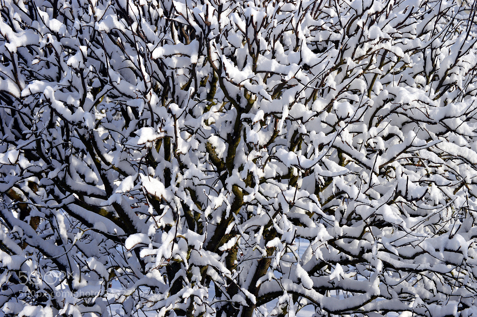 Nikon D3200 sample photo. Winter 2018 photography