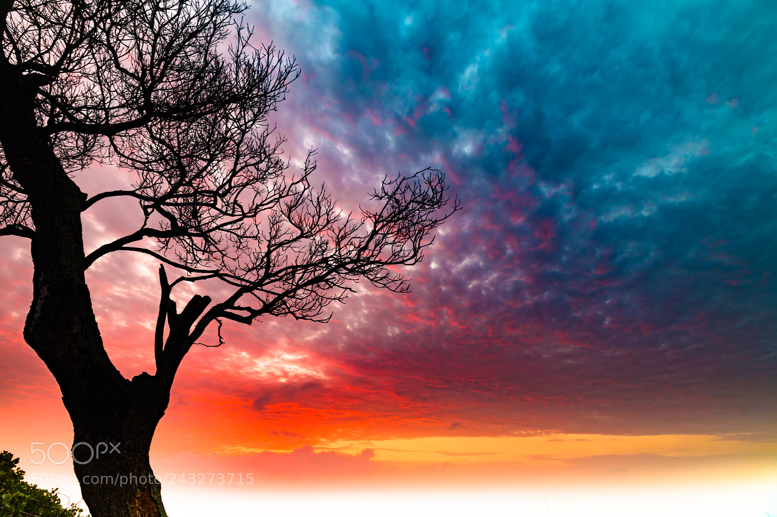 Nikon D850 sample photo. Sunrise, 5am, eastmore beach photography
