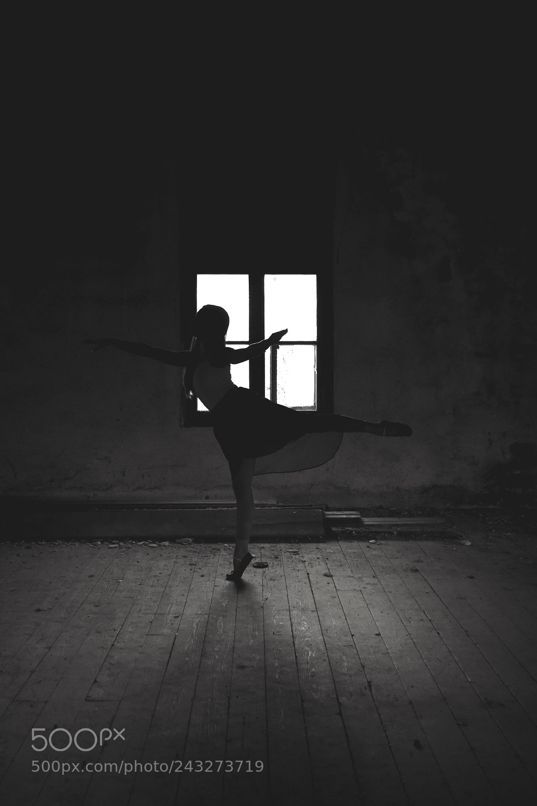 Nikon D3100 sample photo. "ballerina project" (part1).. photography