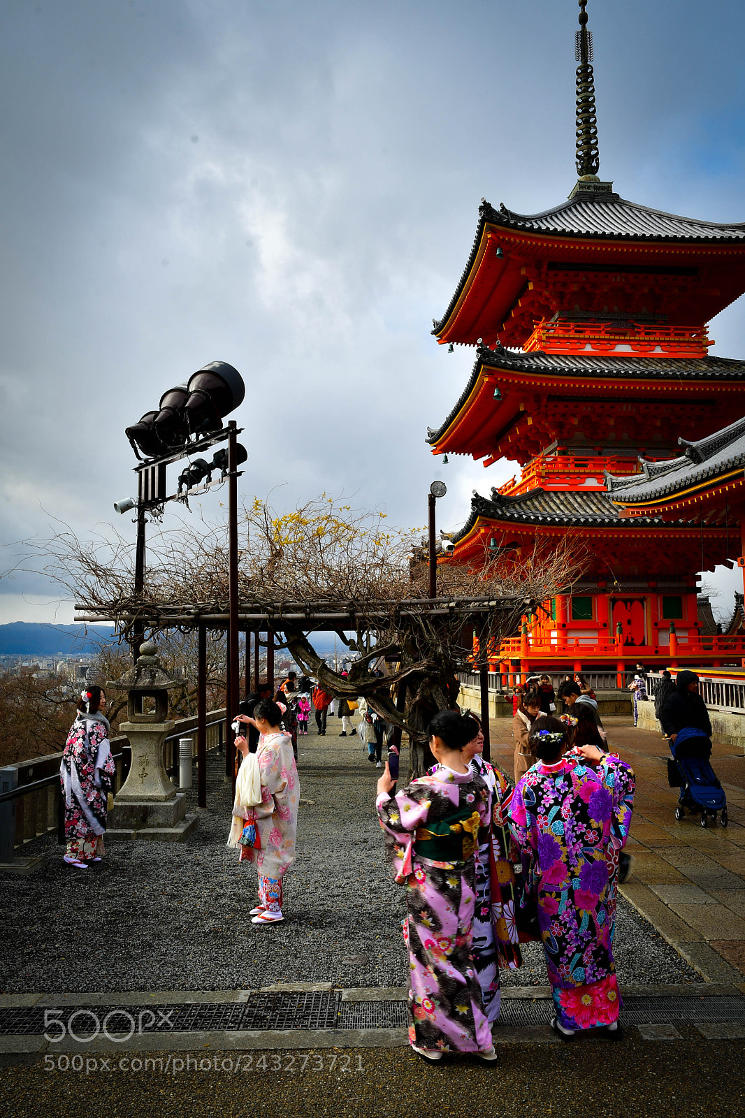 Nikon D500 sample photo. Kyoto geisha photography