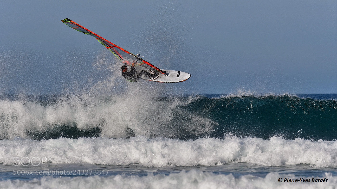 Nikon D500 sample photo. Free fly! photography