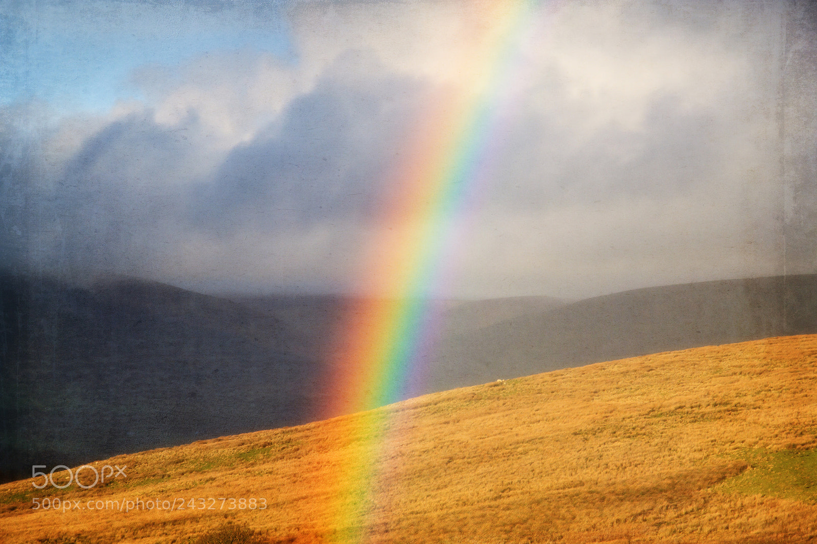 Canon EOS 500D (EOS Rebel T1i / EOS Kiss X3) sample photo. Rainbow at my feet photography