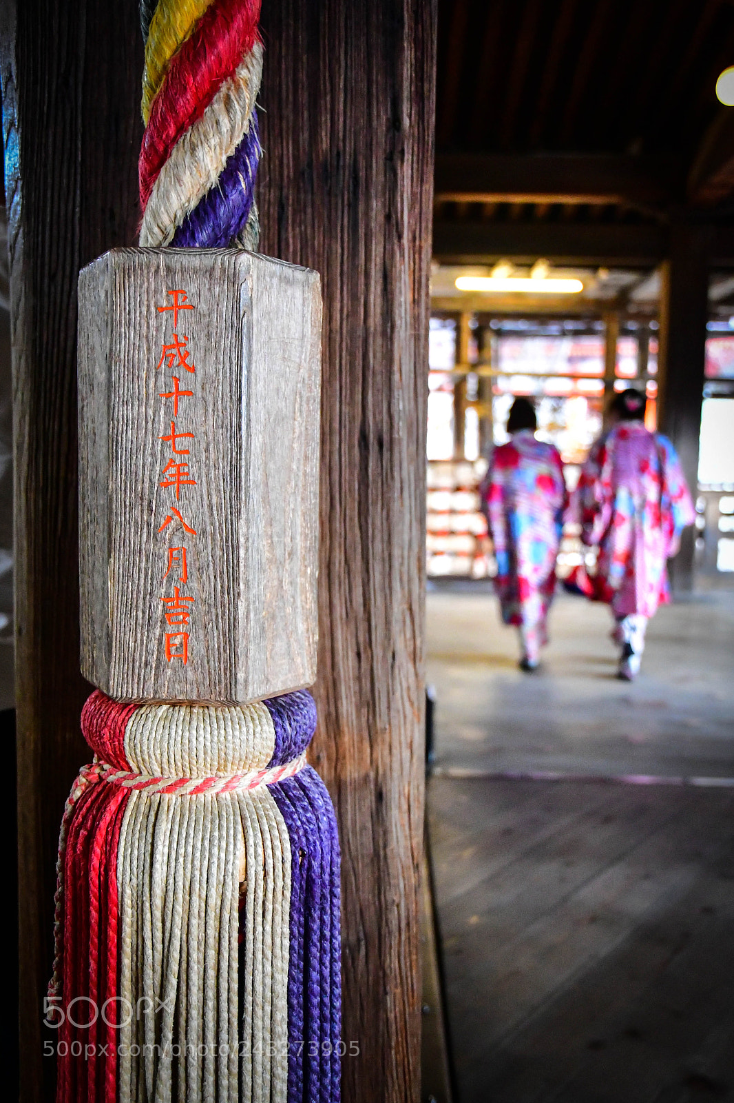 Nikon D500 sample photo. Kyoto temple photography