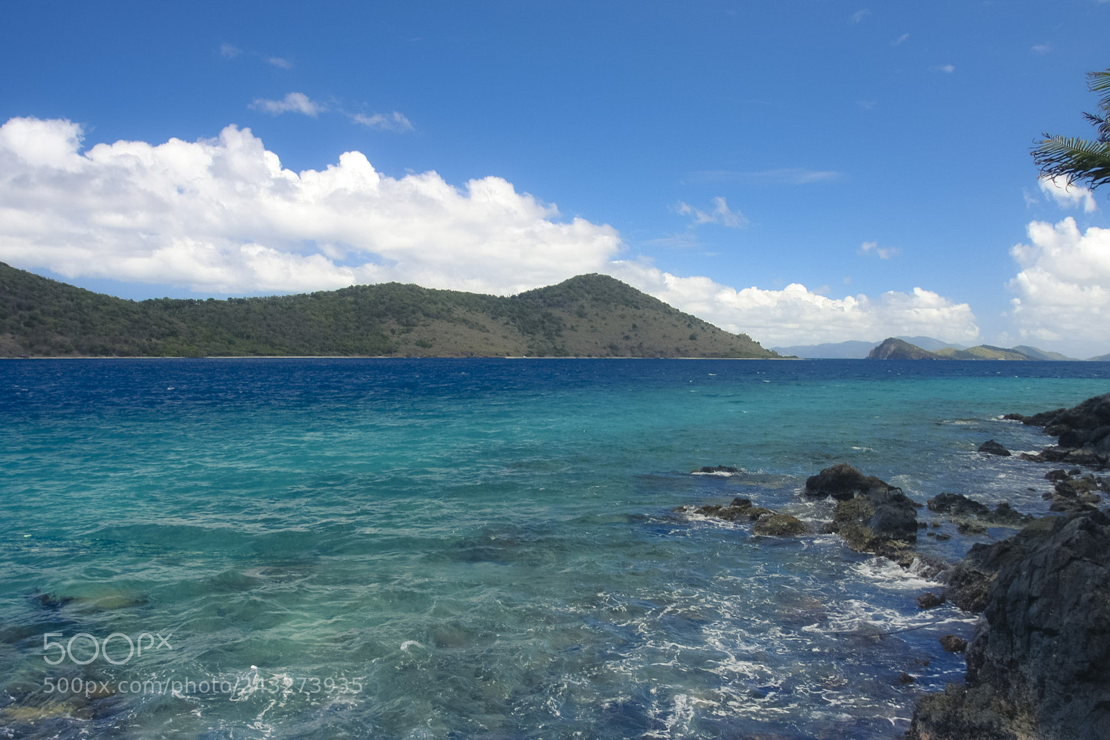 Canon EOS 40D sample photo. Blue photography