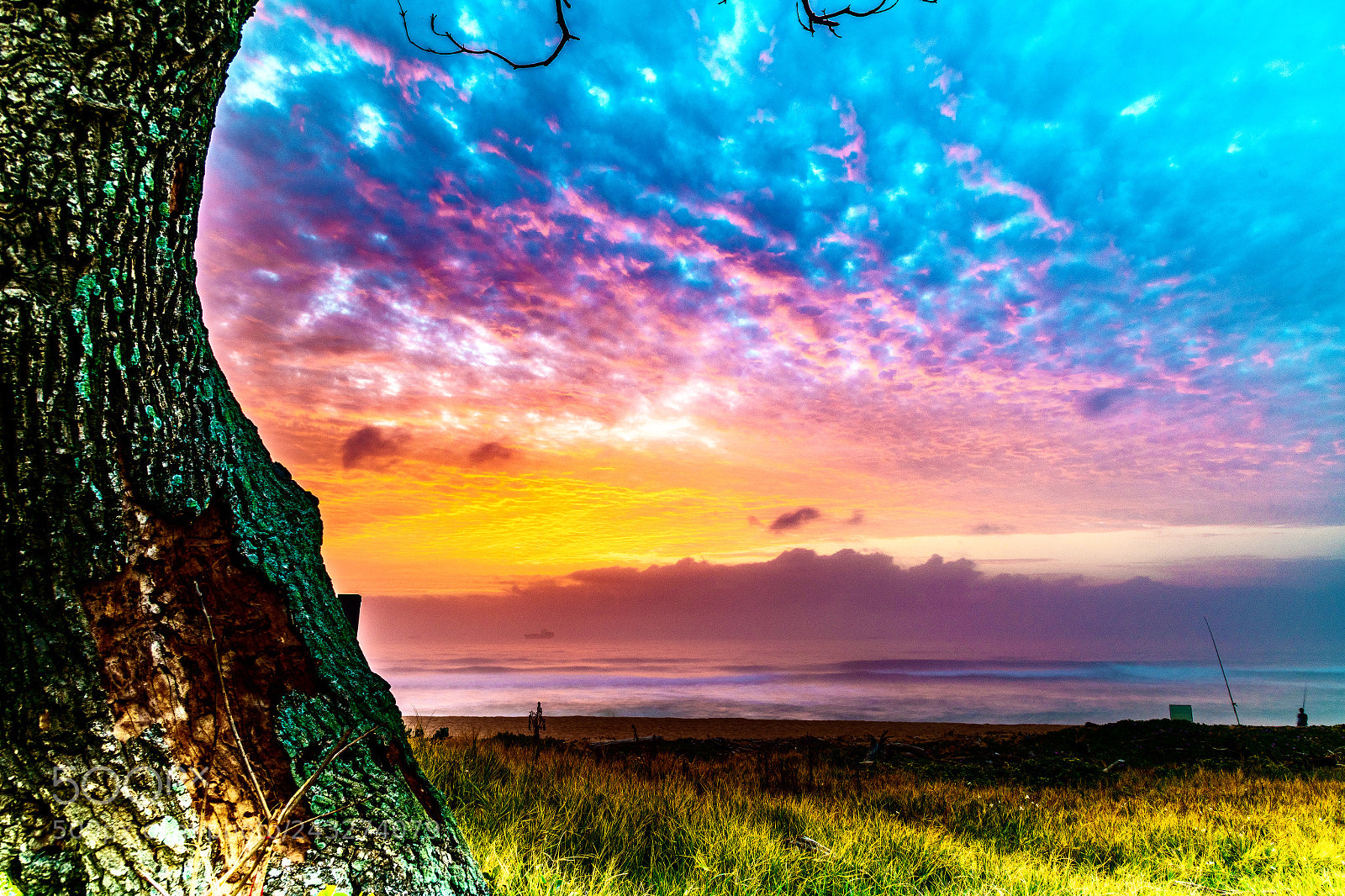 Nikon D850 sample photo. Sunrise, 5am, eastmore beach photography