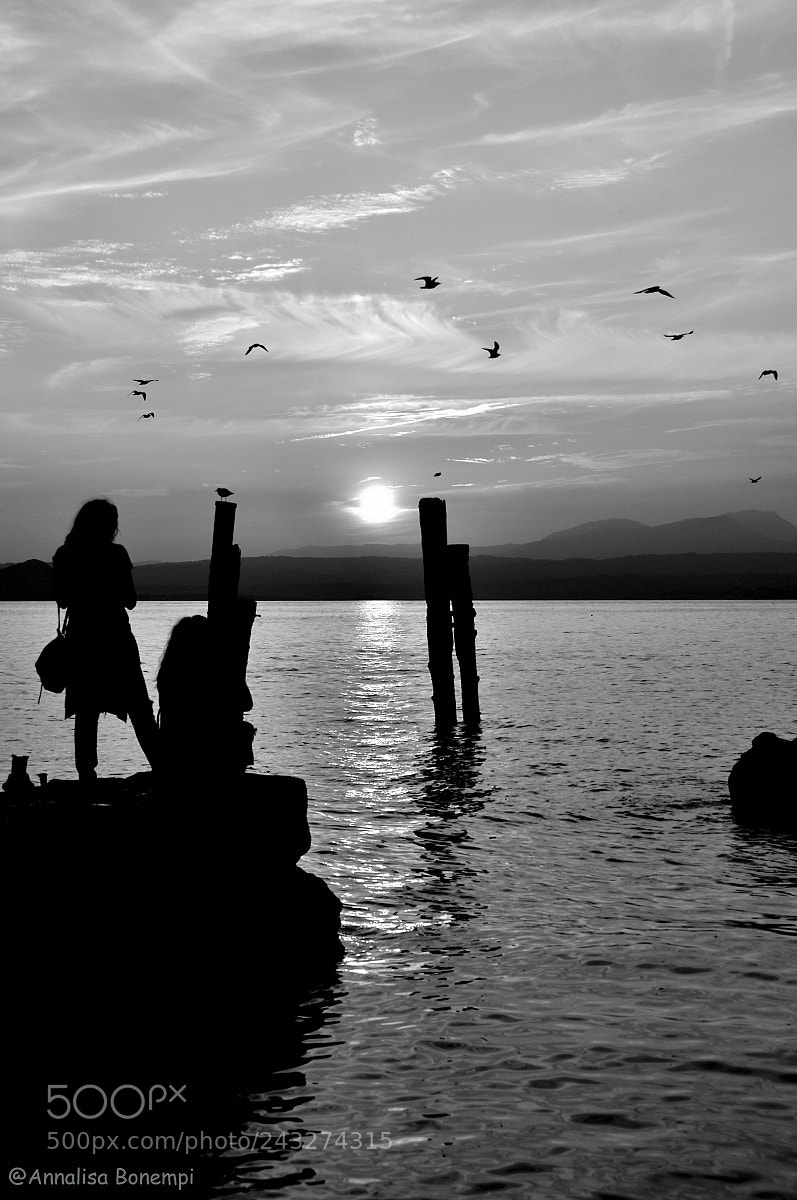 Nikon D90 sample photo. Settembre photography