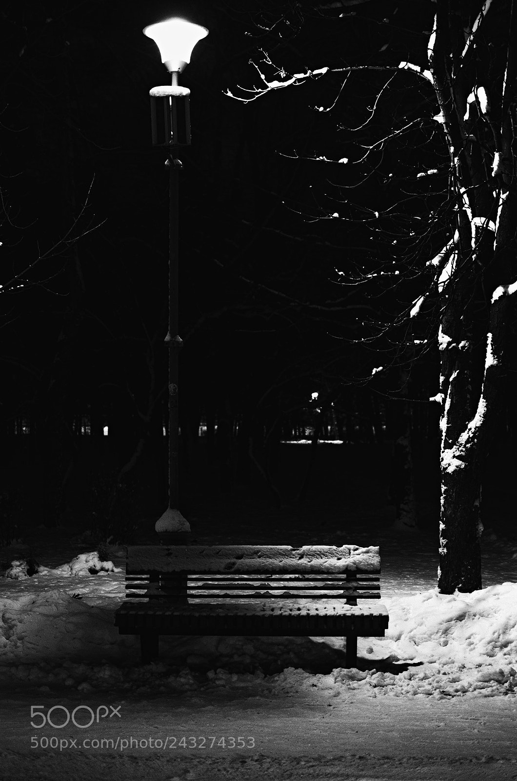 Nikon D5100 sample photo. Bench photography
