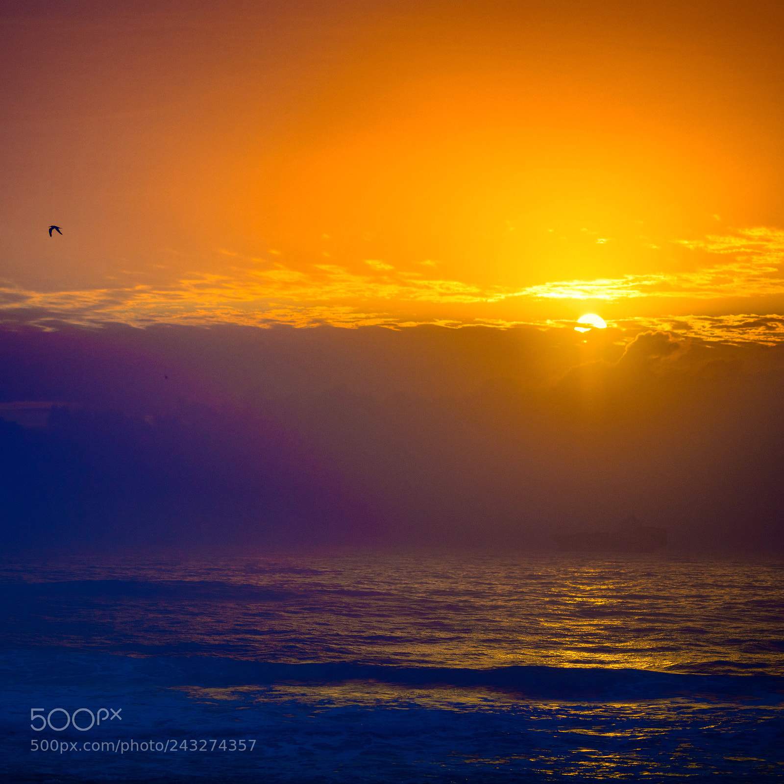 Nikon D850 sample photo. Sunrise, 5 15am, eastmore photography