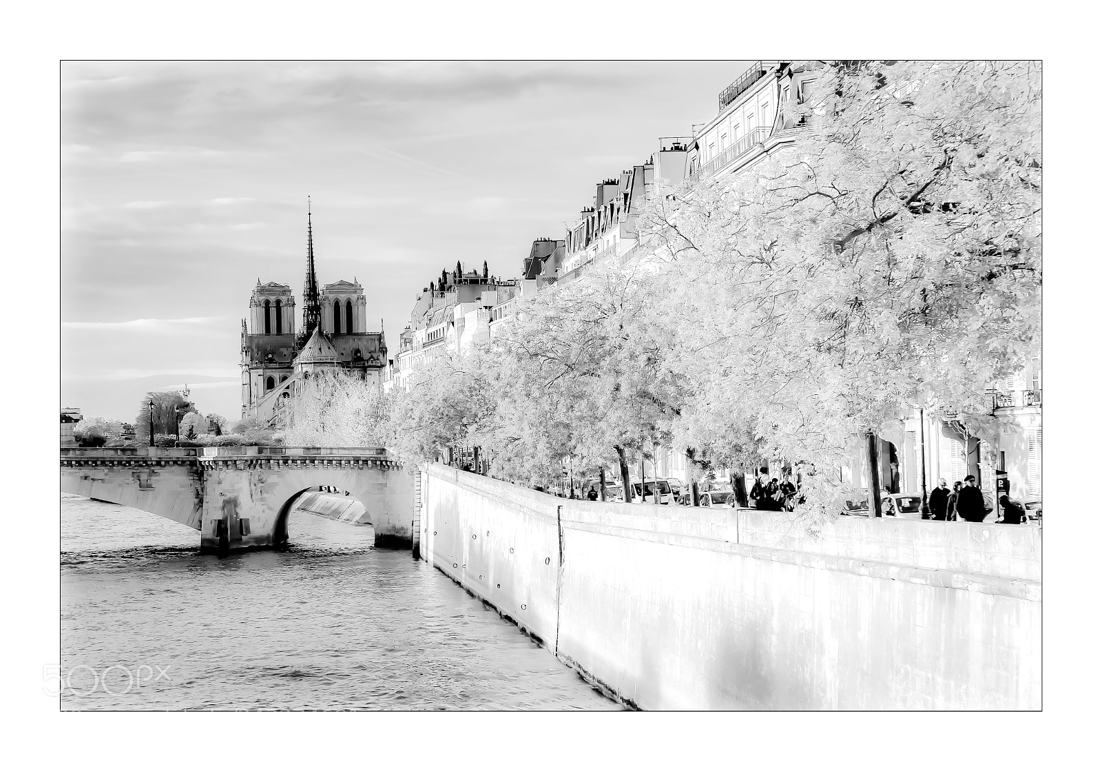 Panasonic Lumix DMC-FZ1000 sample photo. Notre dame photography