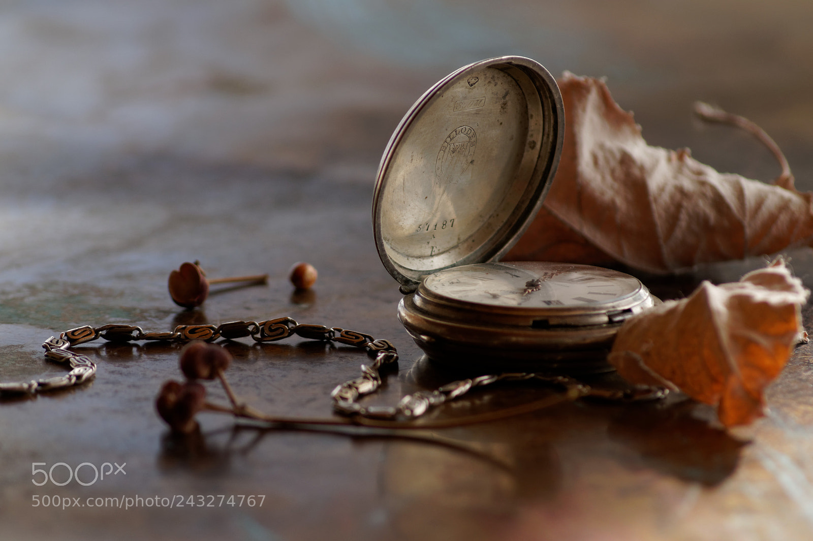 Sony DT 55-200mm F4-5.6 SAM sample photo. Pocket watch photography