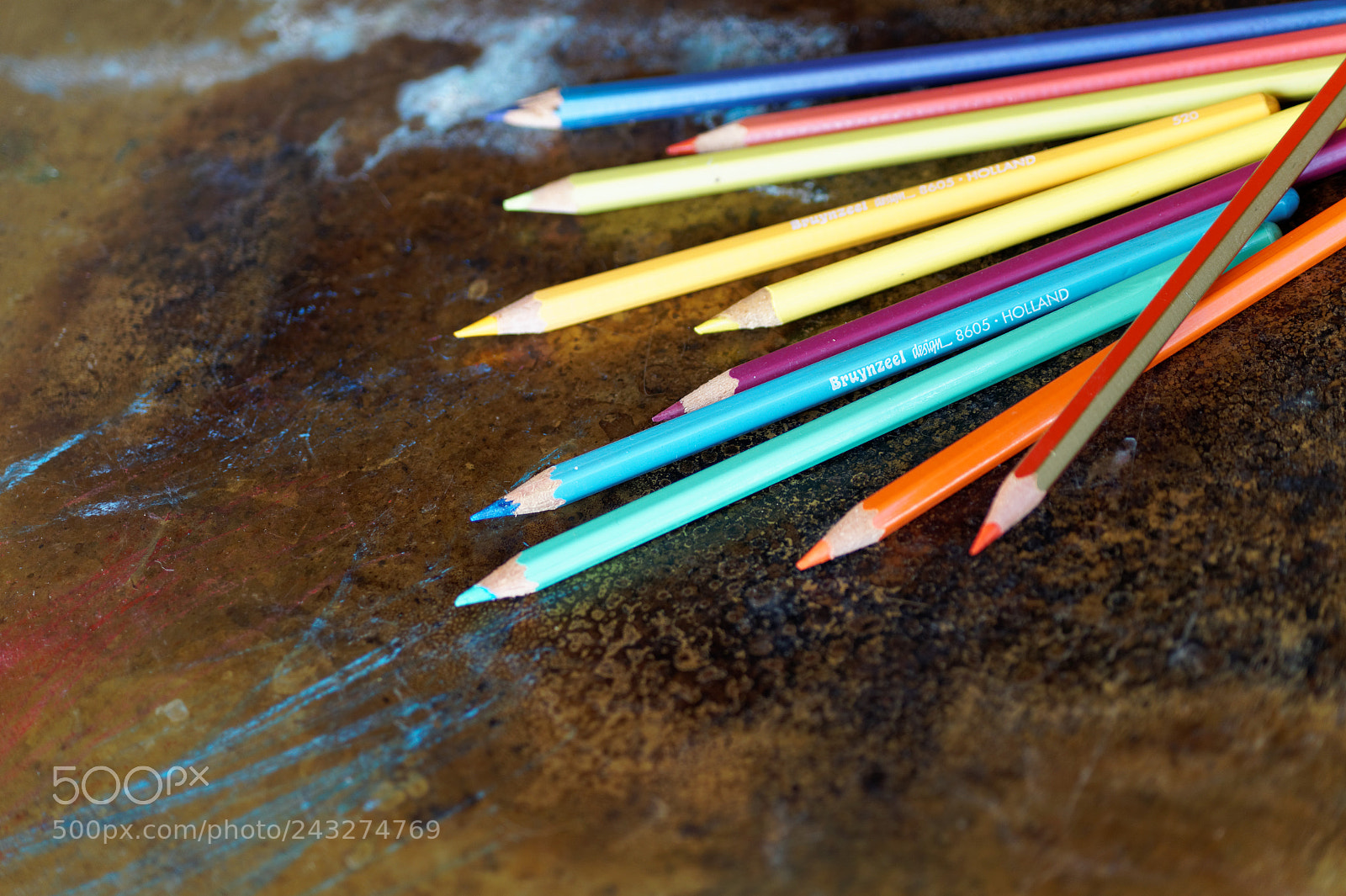 Sony DT 55-200mm F4-5.6 SAM sample photo. Color photography