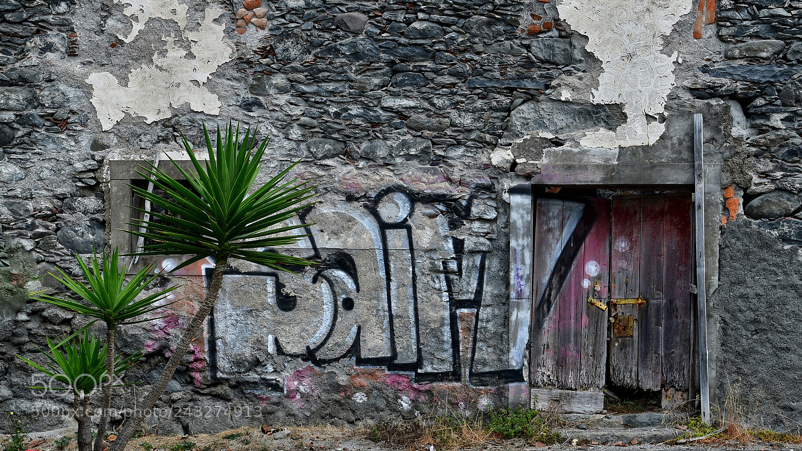 Nikon D500 sample photo. The wall photography