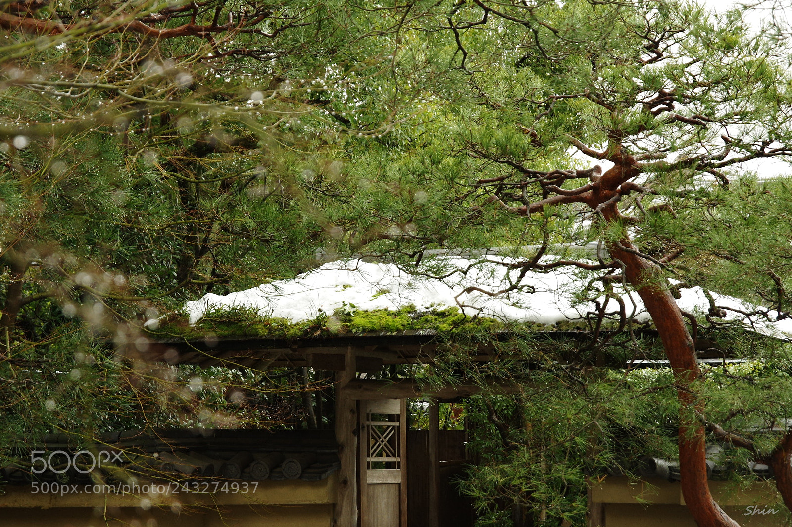 Pentax K-3 II sample photo. Wabi-sabi photography