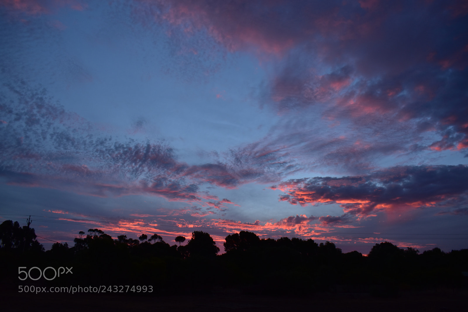 Nikon D5600 sample photo. Pink rainclouds photography
