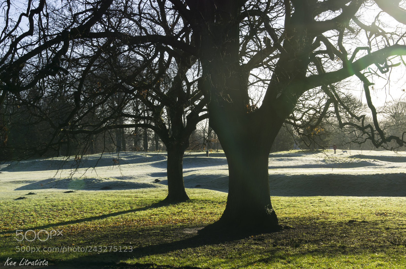 Pentax K-5 sample photo. Frosty morning photography