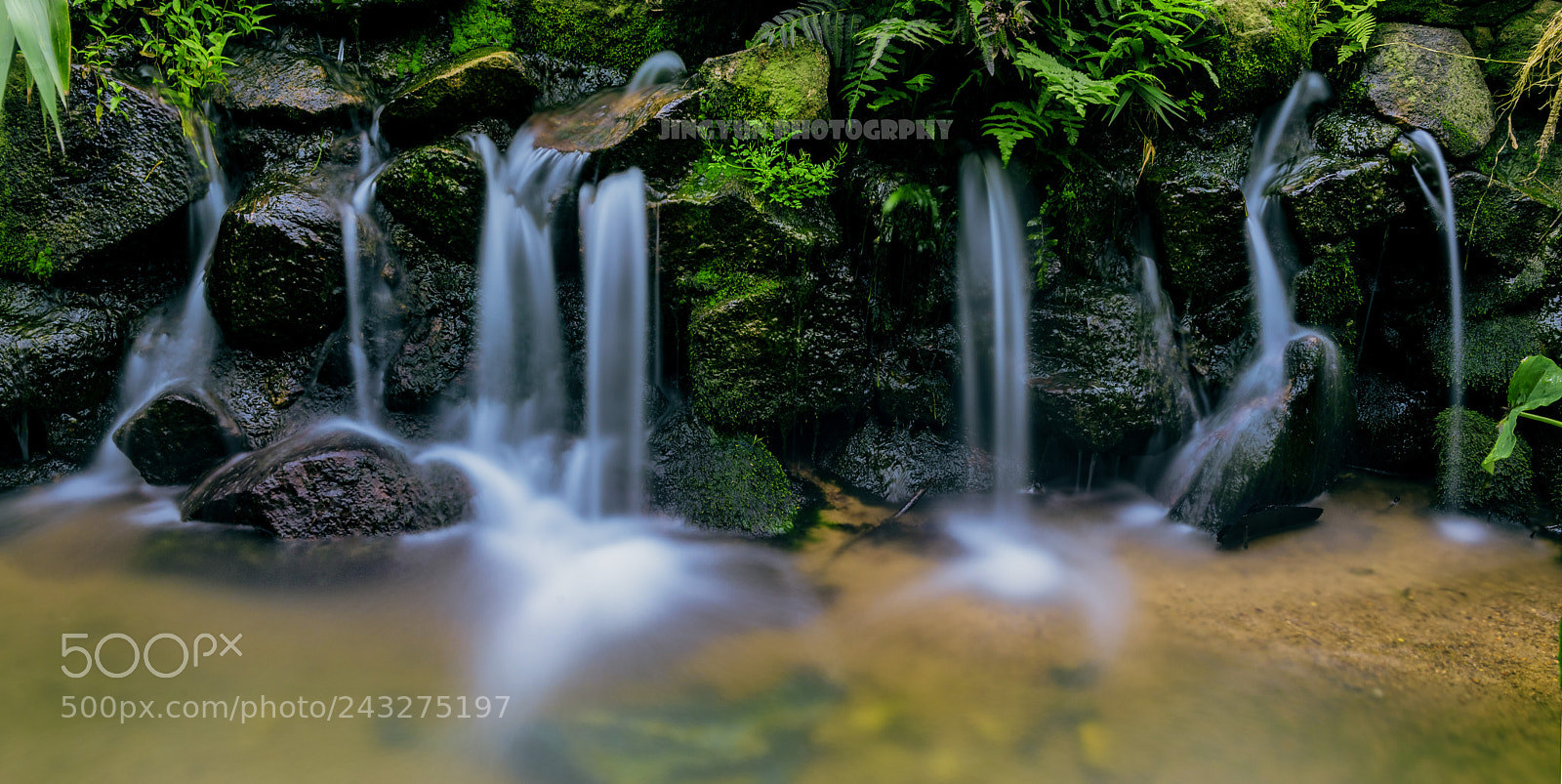 Nikon D810 sample photo. Untitled photography