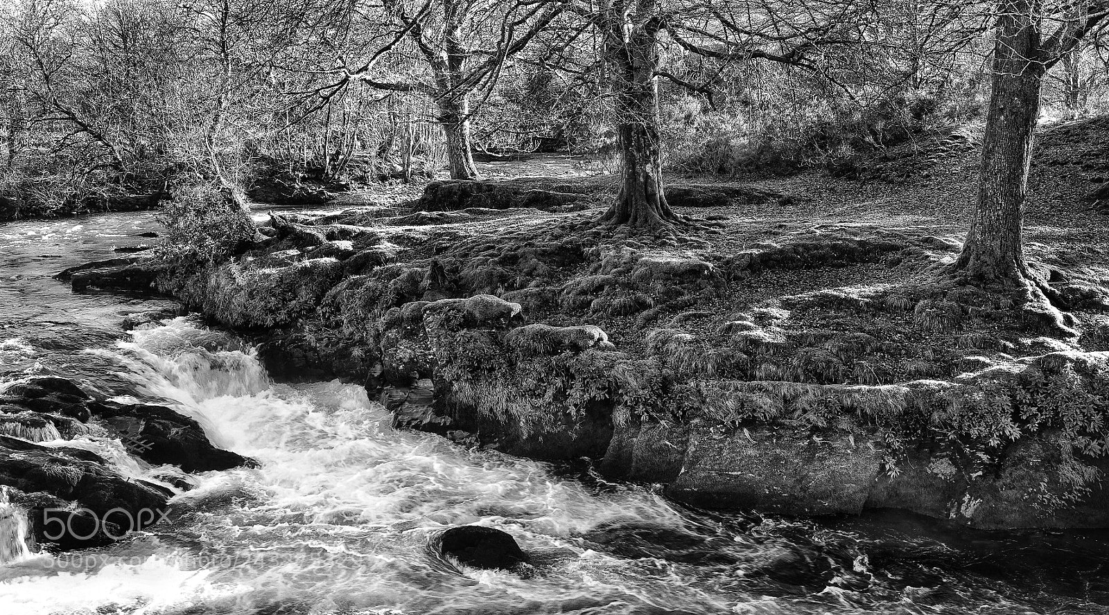 Fujifilm X-T2 sample photo. View from our cottage photography