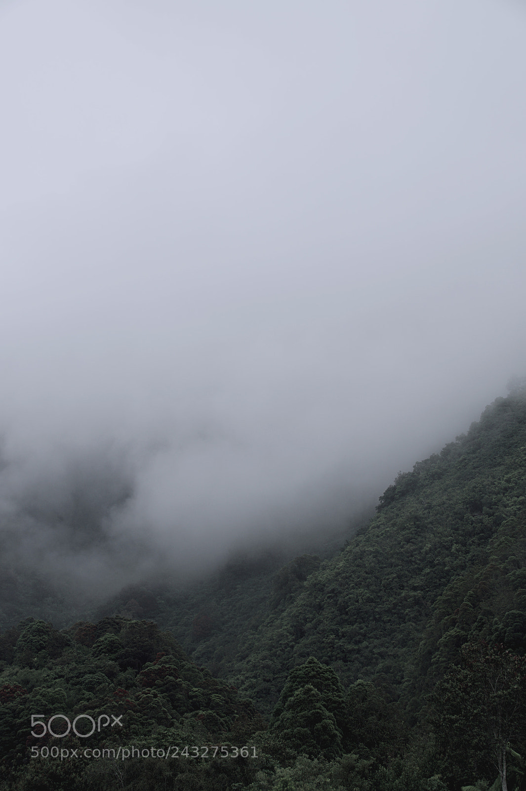 Sony SLT-A58 sample photo. Clouds vs. mountain photography