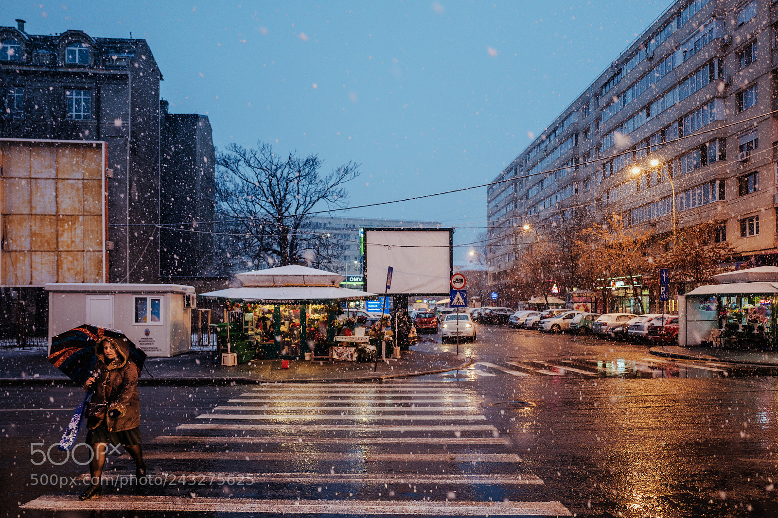Leica Q (Typ 116) sample photo. 20180120-l1150821.jpg photography