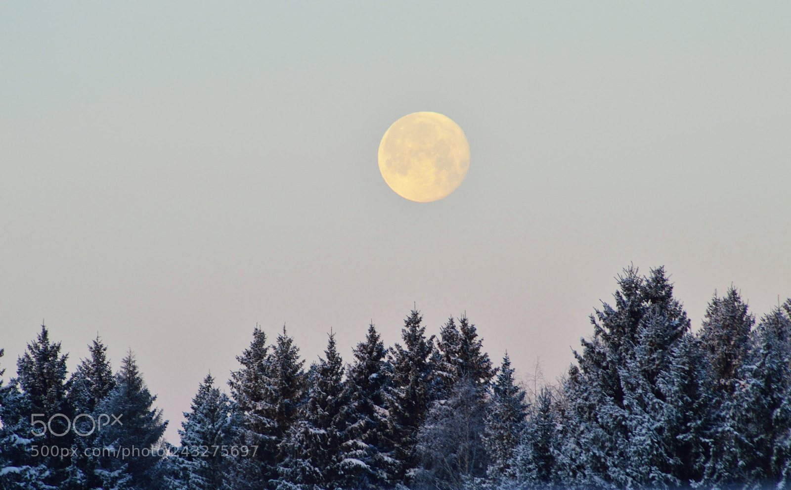 Nikon D3200 sample photo. Luna photography