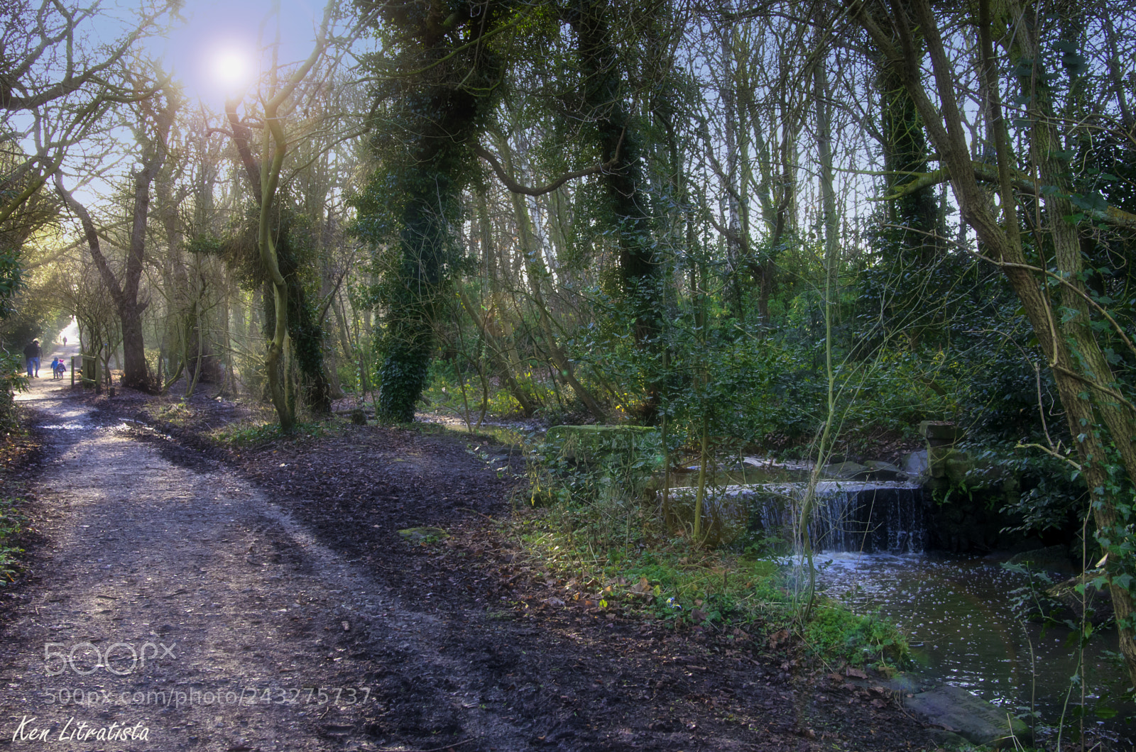 Pentax K-5 sample photo. A walk in the photography