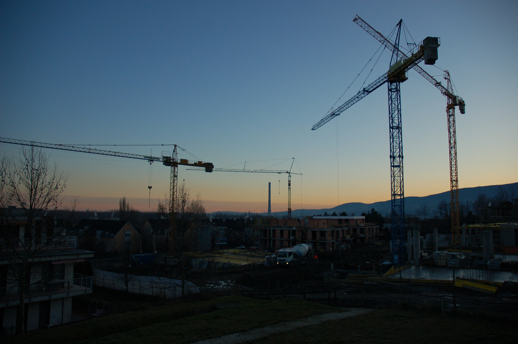 Nikon D50 sample photo. Cranes photography