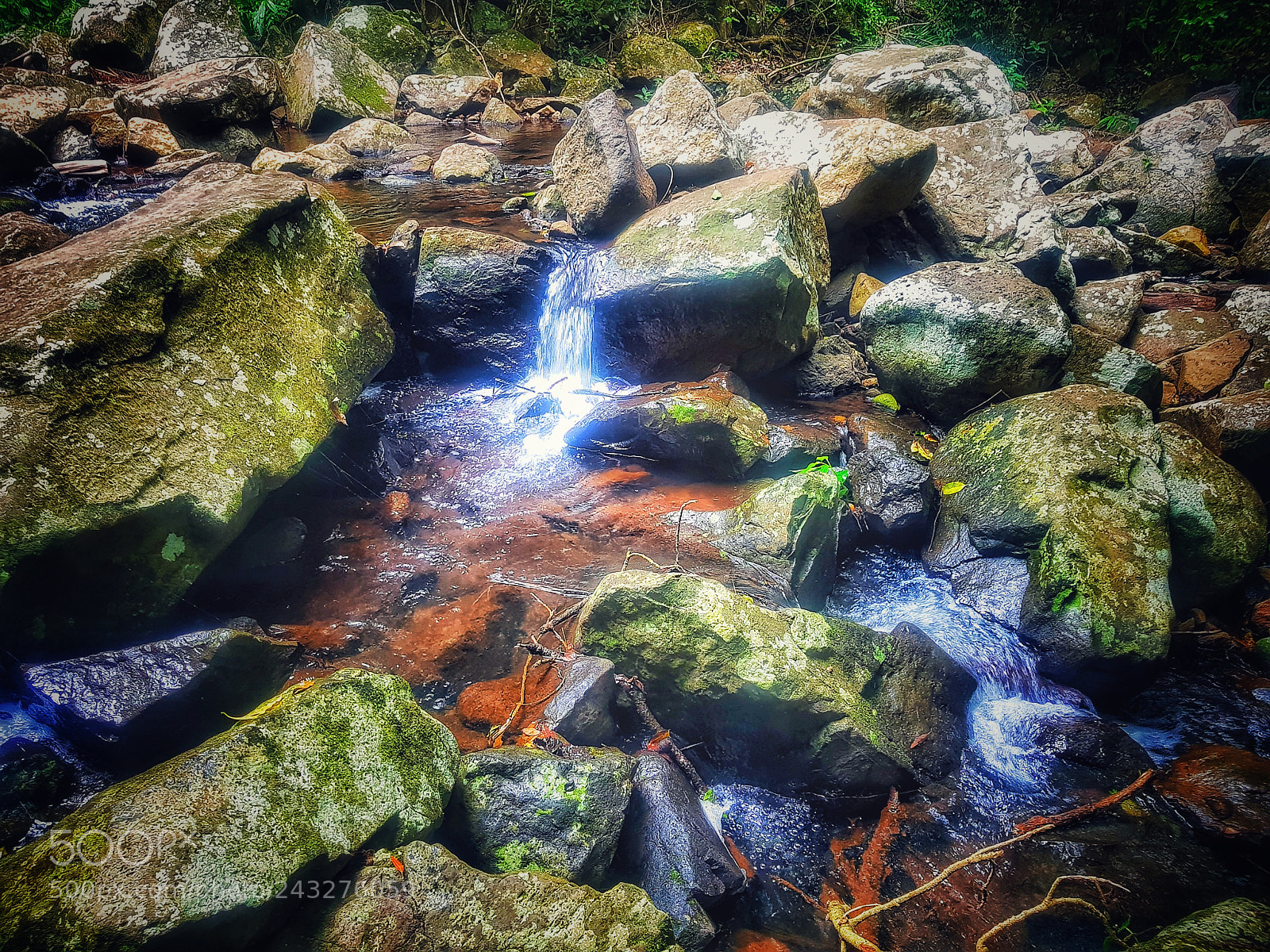 Samsung Galaxy S8+ sample photo. Editinf is fun photography
