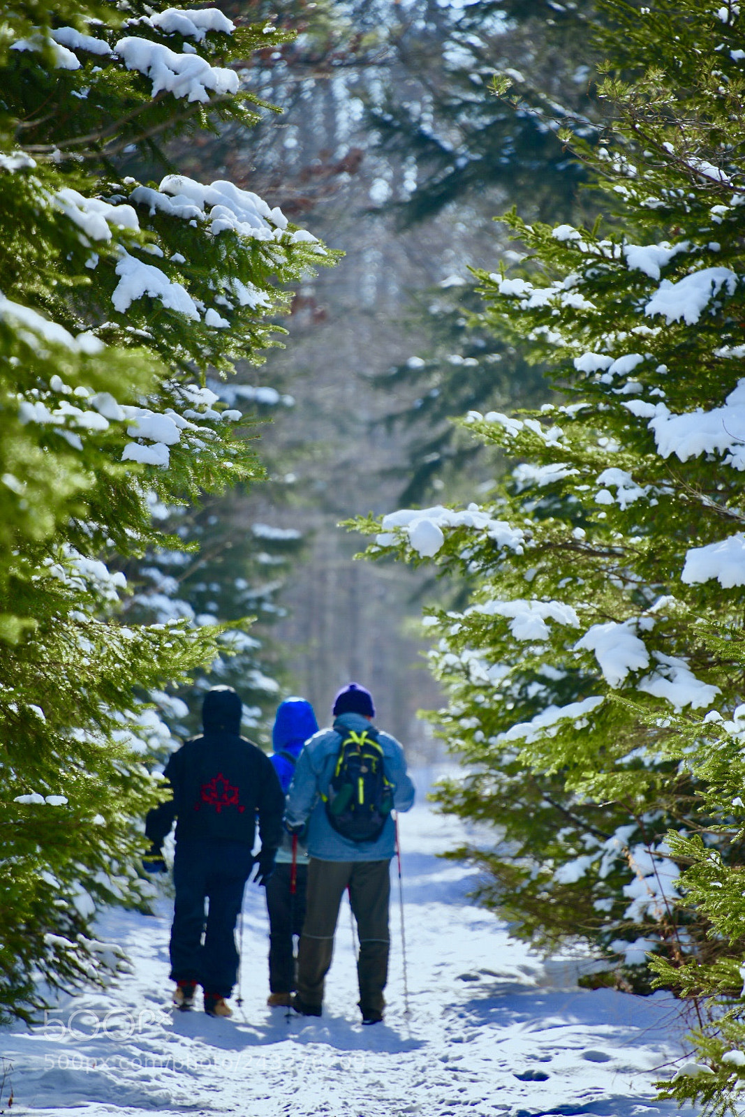 Nikon D850 sample photo. Fun at winter hiking photography