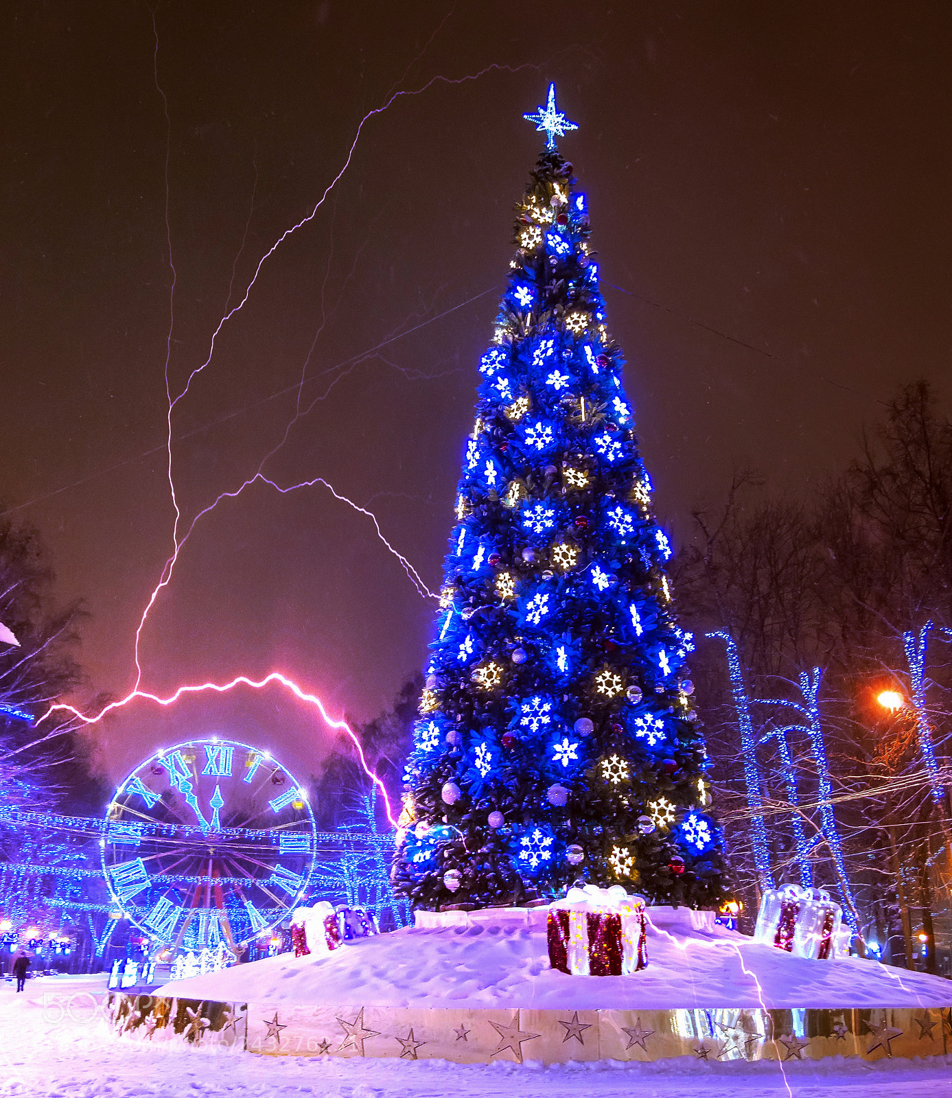 Nikon D5100 sample photo. парк photography