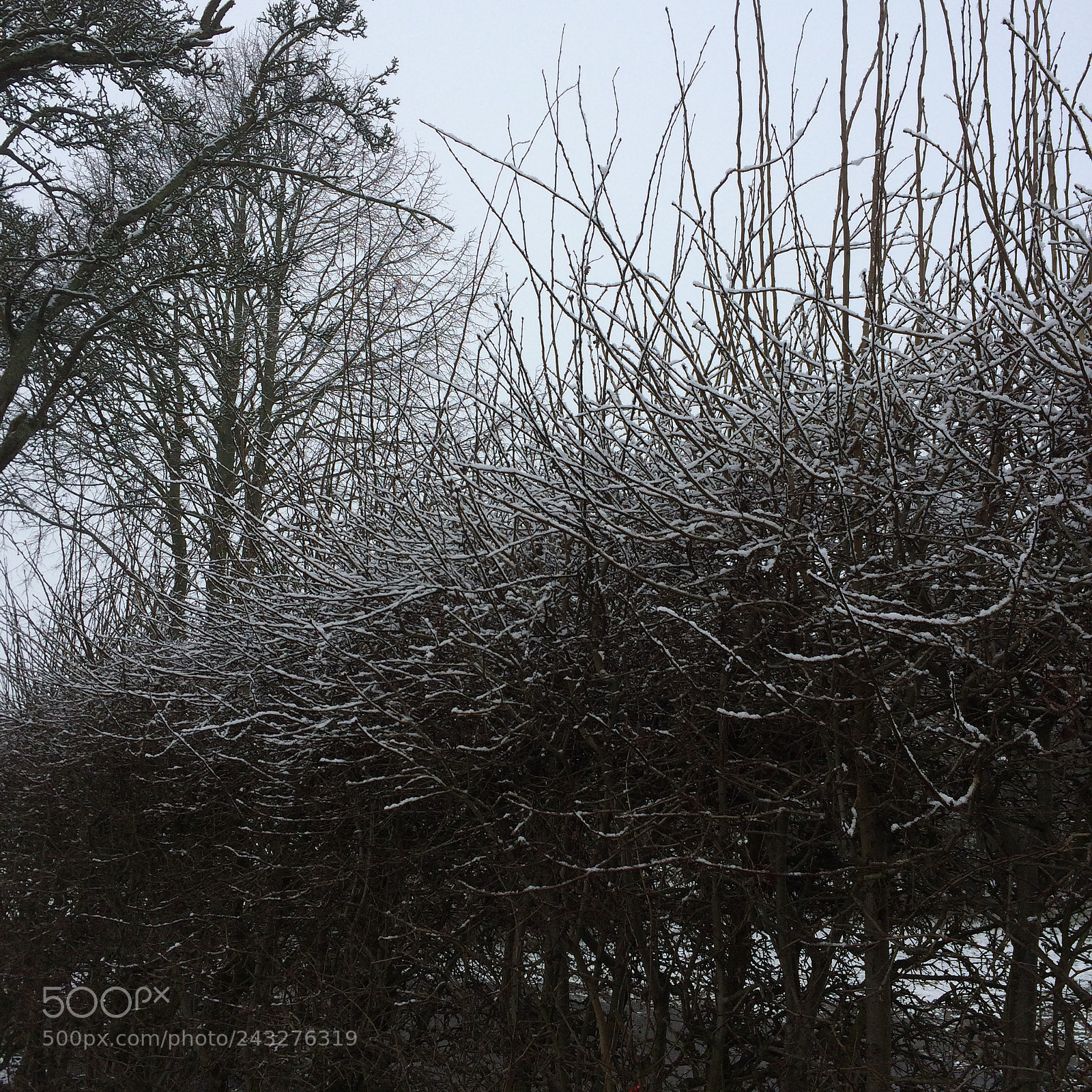 Apple iPhone 5s sample photo. Snow photography
