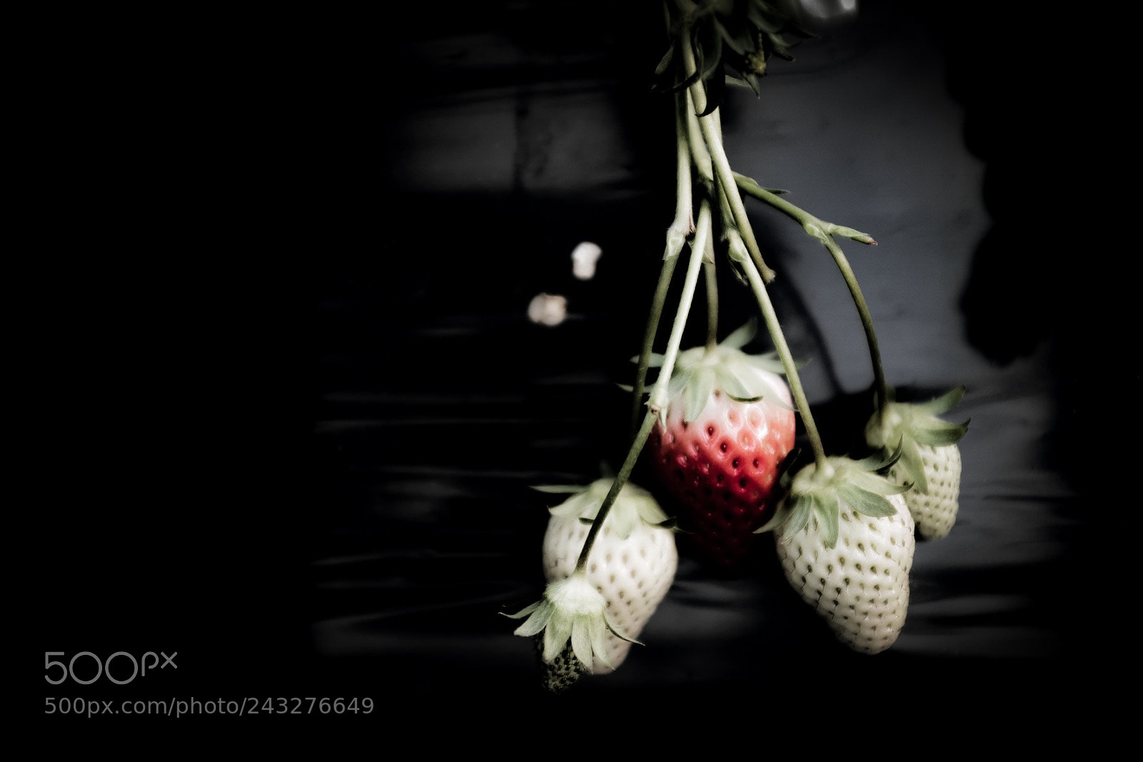 Fujifilm X100F sample photo. Strawberry photography