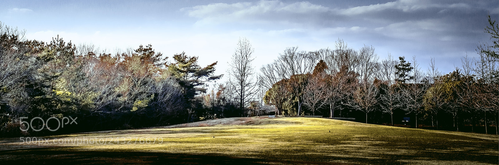 Nikon D800E sample photo. Forest waiting for the photography