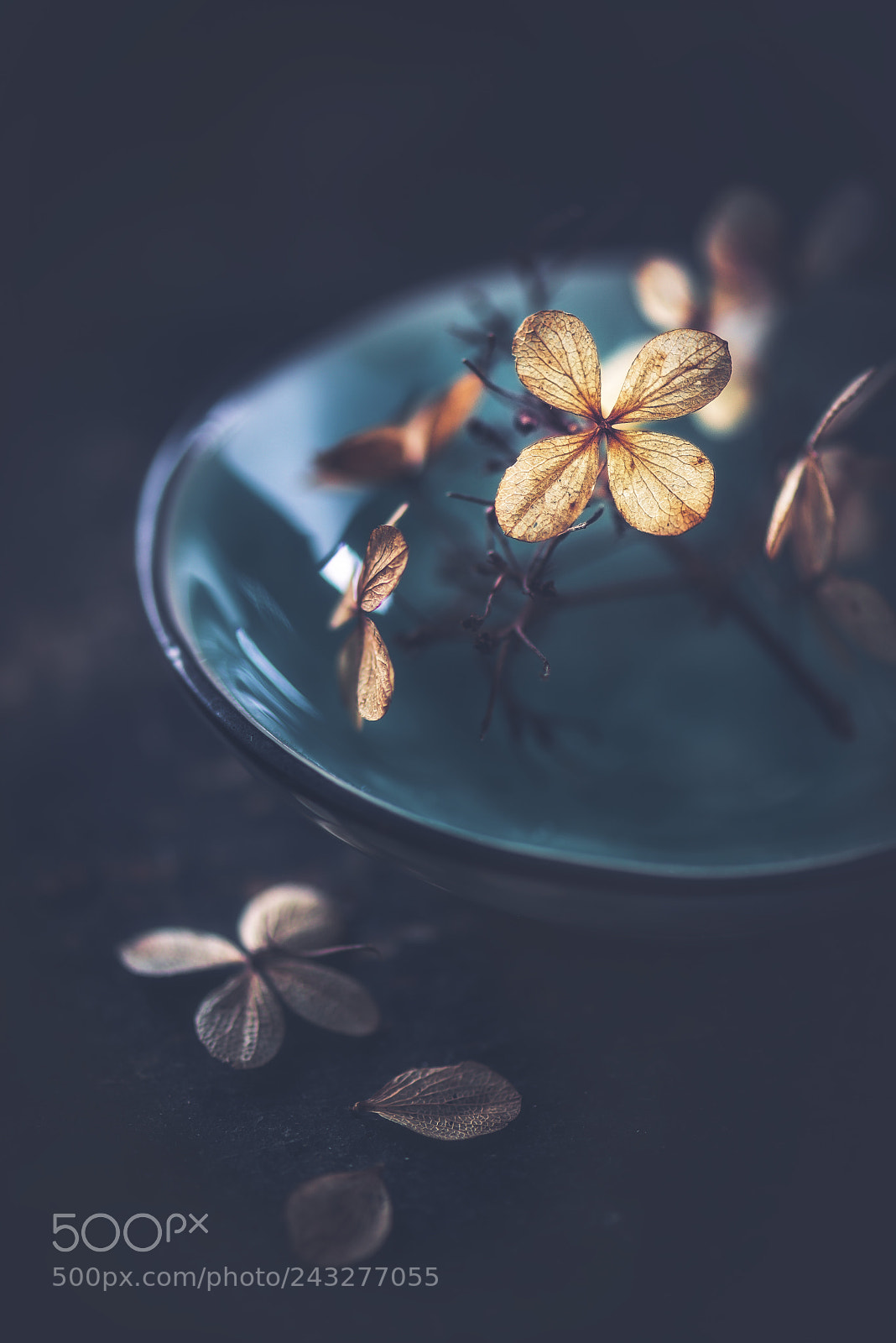 Nikon D610 sample photo. Save the best for photography