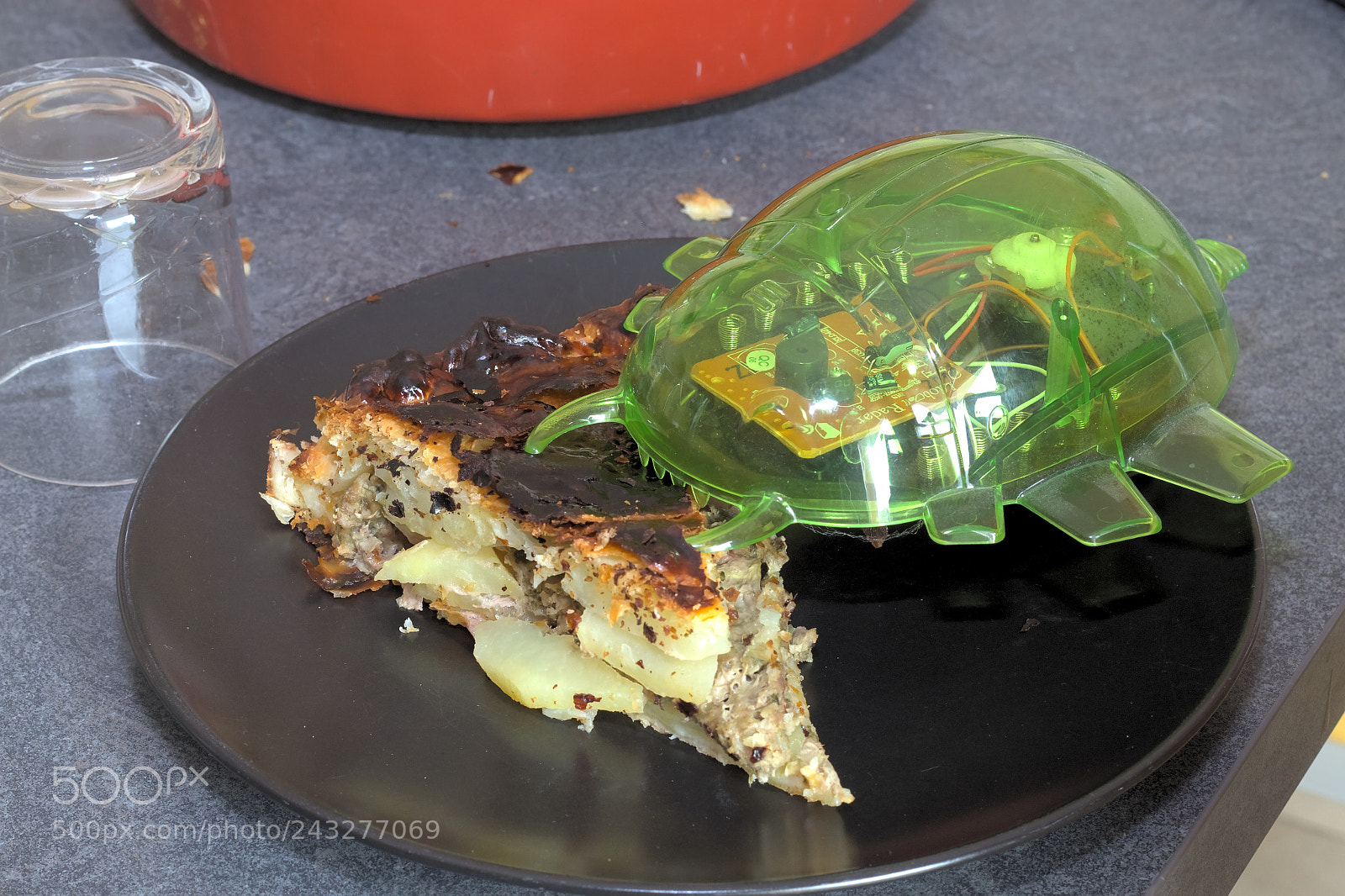 Canon EOS 7D + Canon EF 50mm F1.8 II sample photo. Life bug 2.0: eating photography