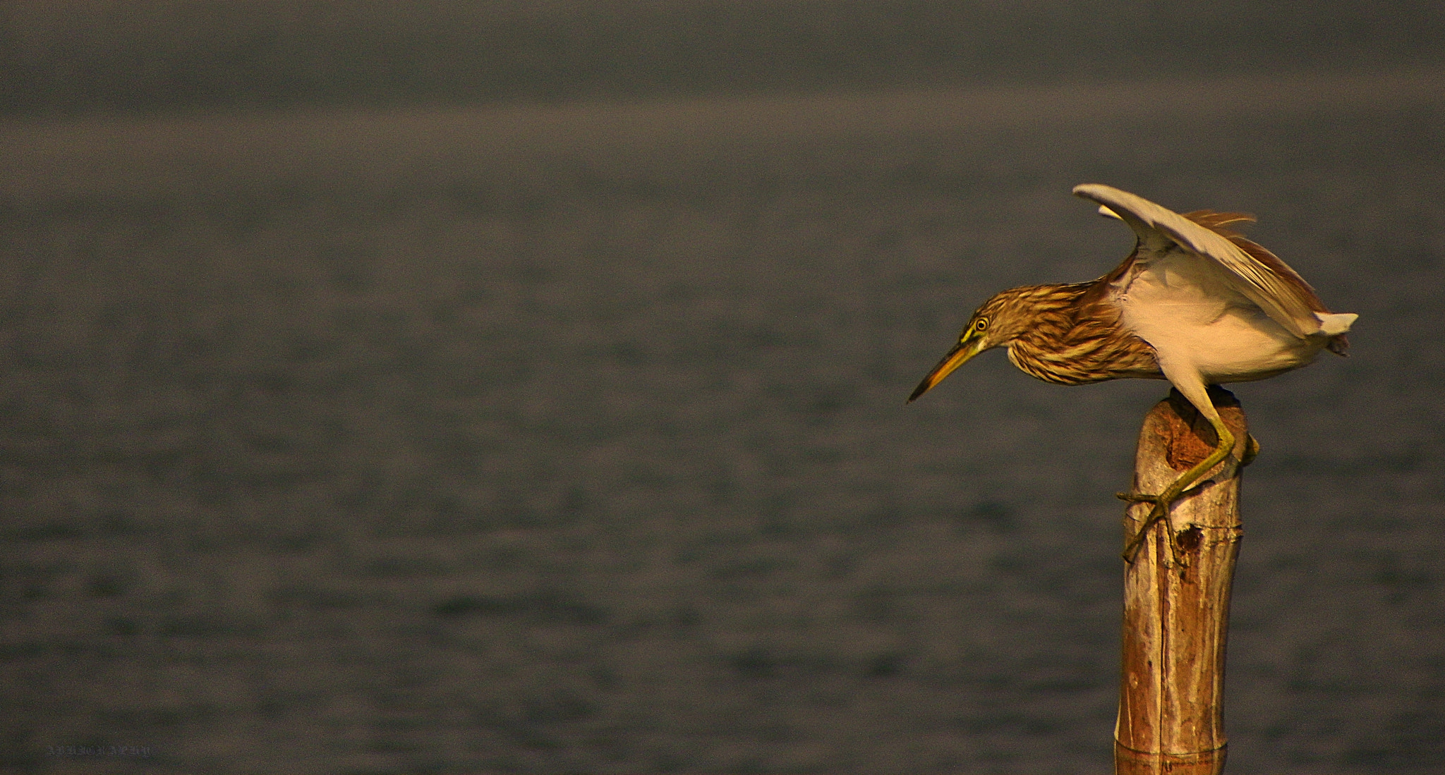 Kodak EasyShare Z981 sample photo. Take off... photography