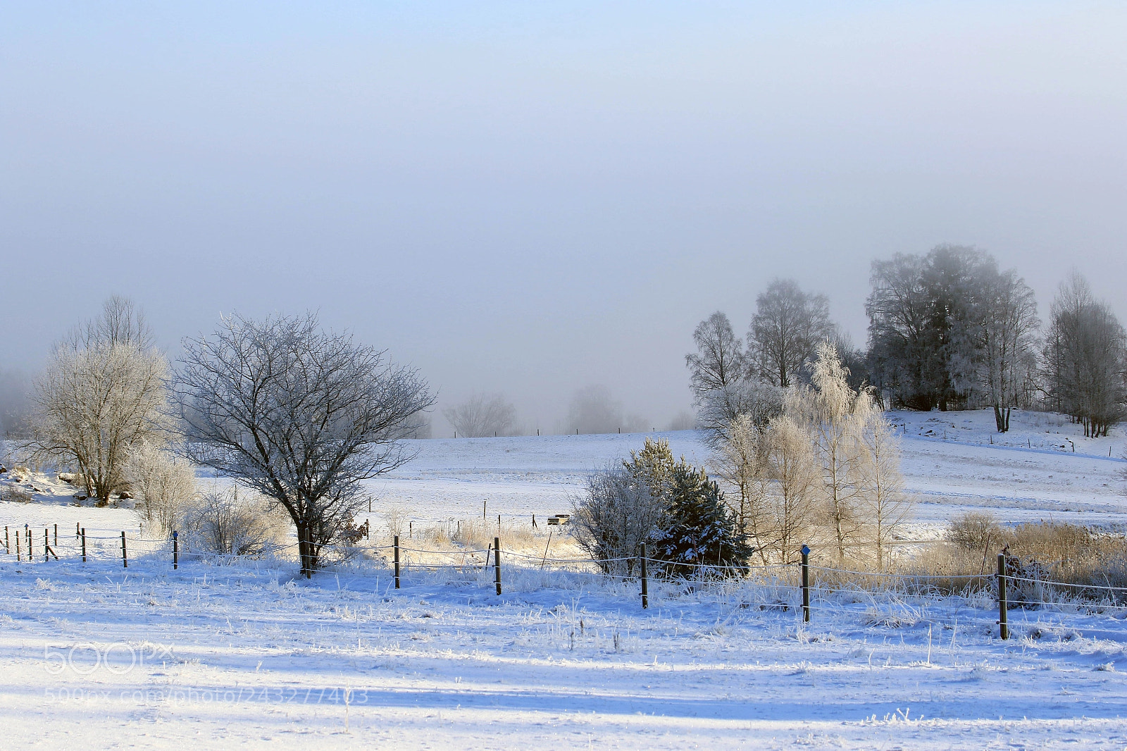 Canon EOS 7D Mark II sample photo. Winter view photography