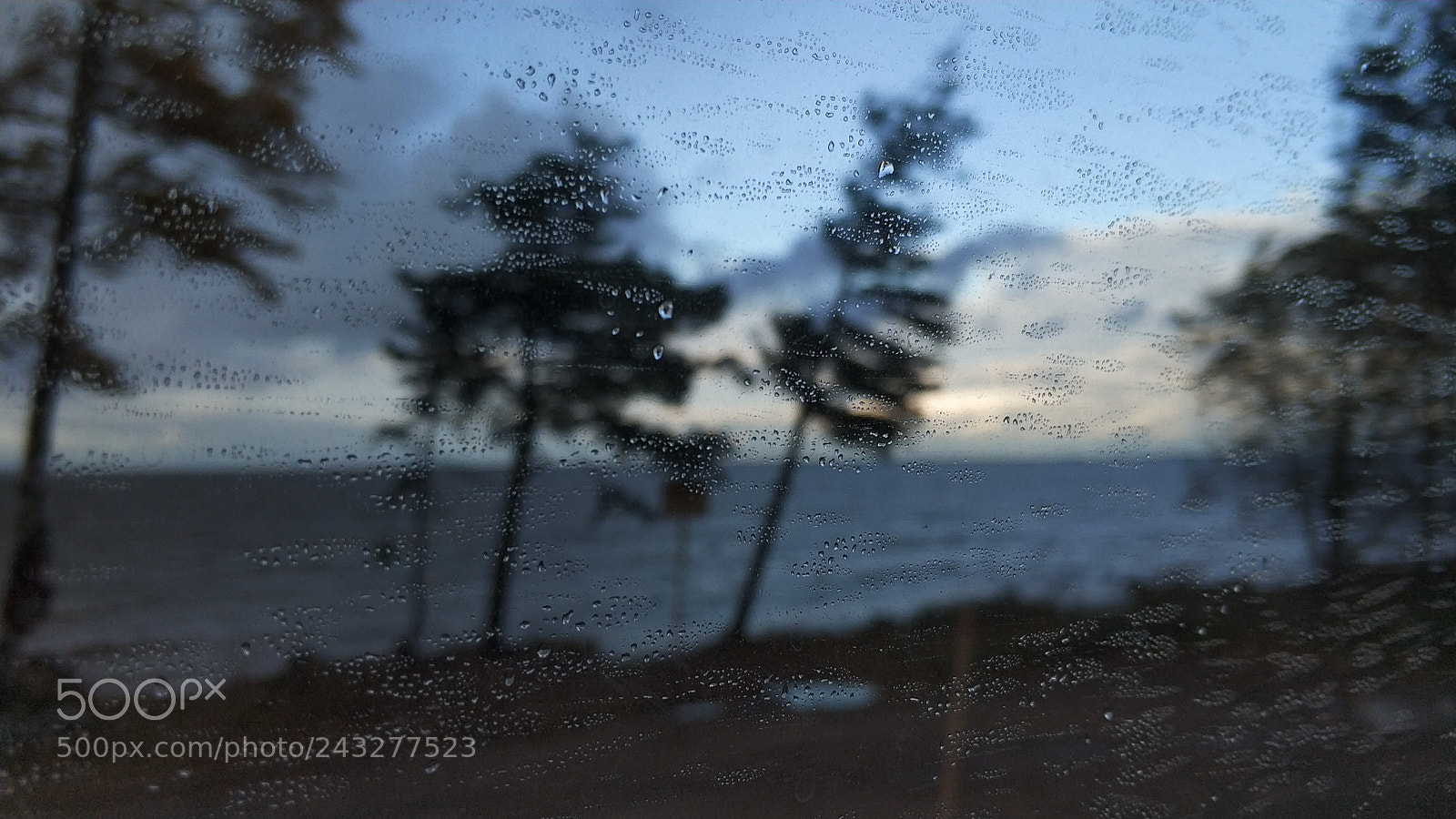 Xiaomi MI6 sample photo. Untitled photography