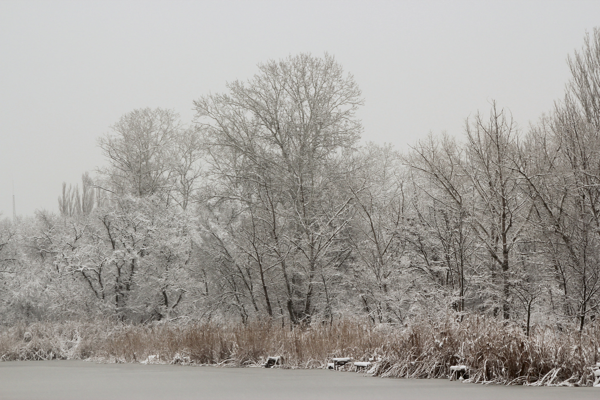 Sigma 70-300mm F4-5.6 APO DG Macro sample photo. Winter on the riverside photography