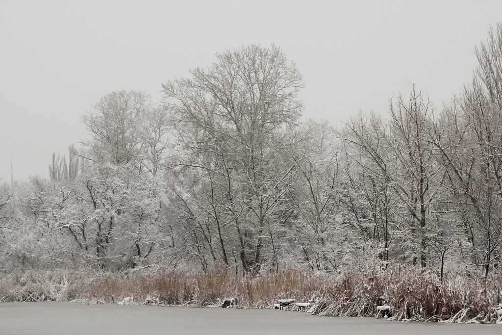 winter on the riverside by Vladislav Lezhaisky on 500px.com