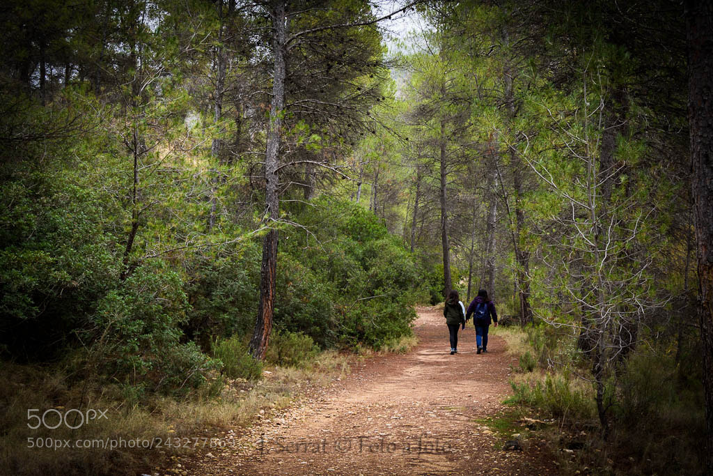 Nikon D7200 sample photo. Camino photography
