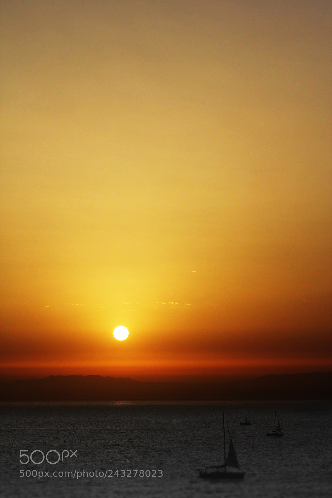 Canon EOS 60D sample photo. No. 15 photography