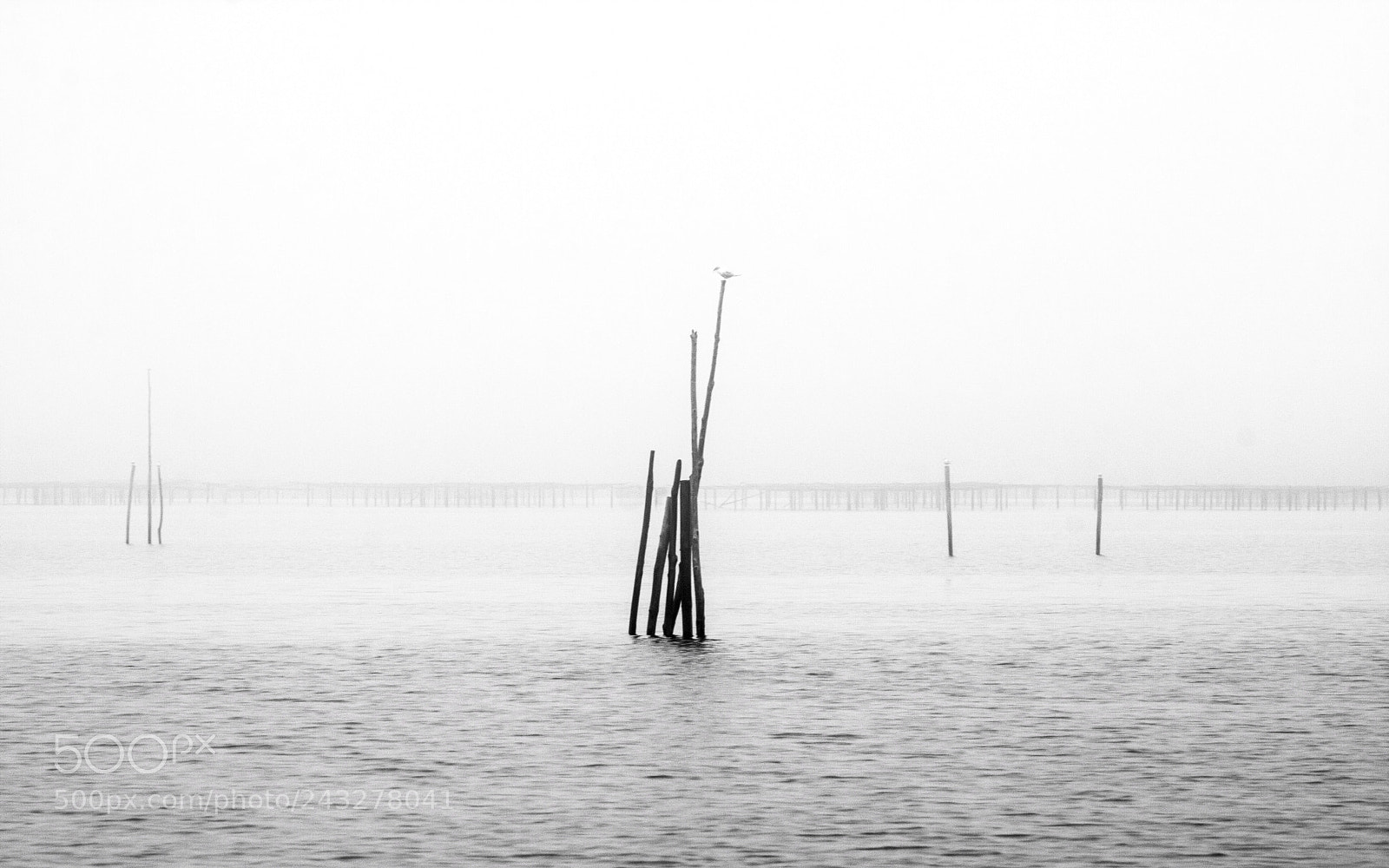 Canon EOS 40D sample photo. Fog’s incoming photography