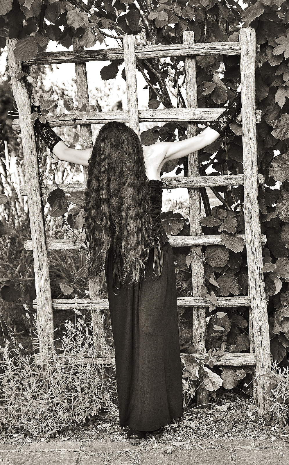 Nikon D700 sample photo. Edgar allan poe's story...digital photography