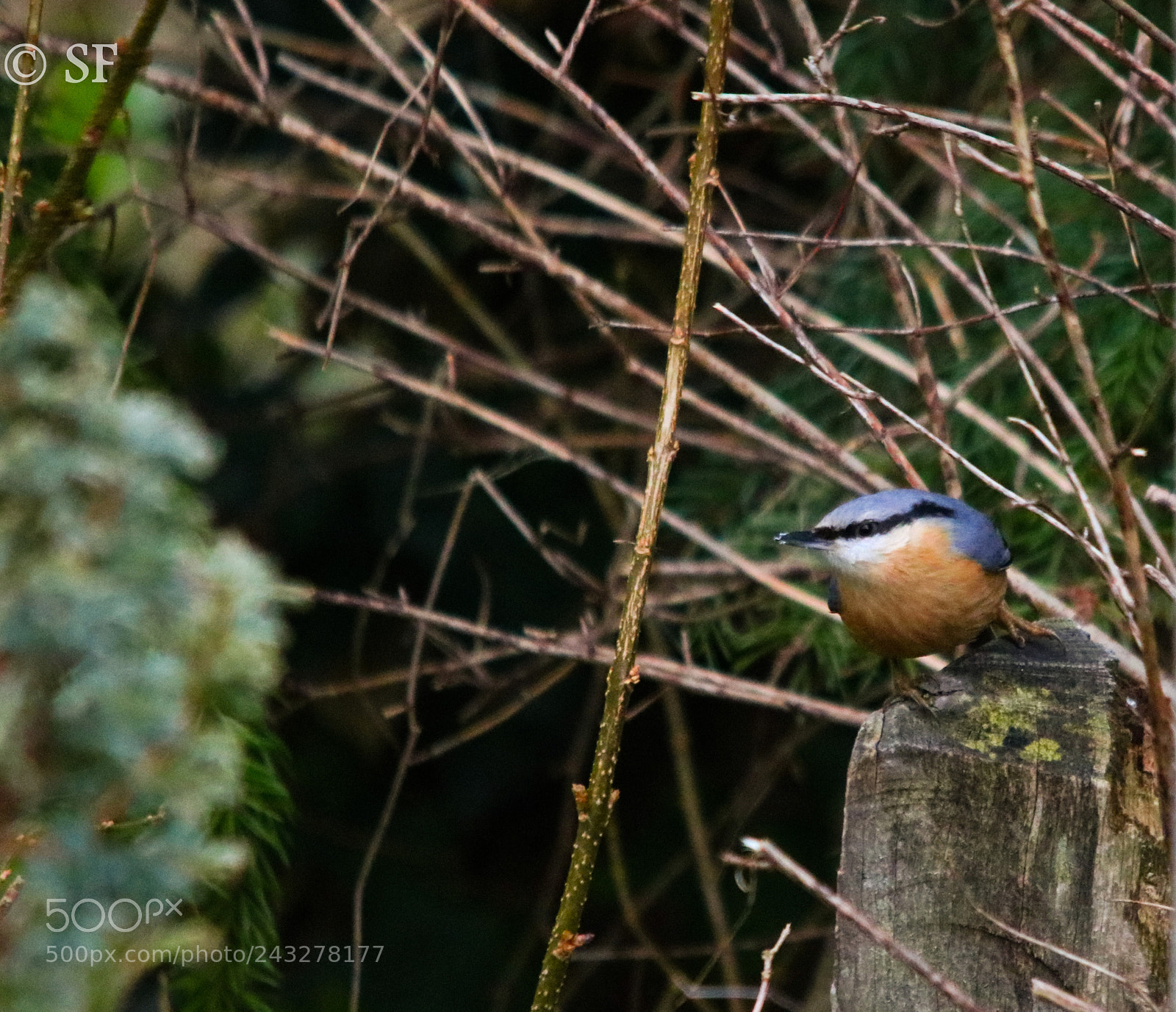 Canon EOS 750D (EOS Rebel T6i / EOS Kiss X8i) sample photo. Ready to lift off photography
