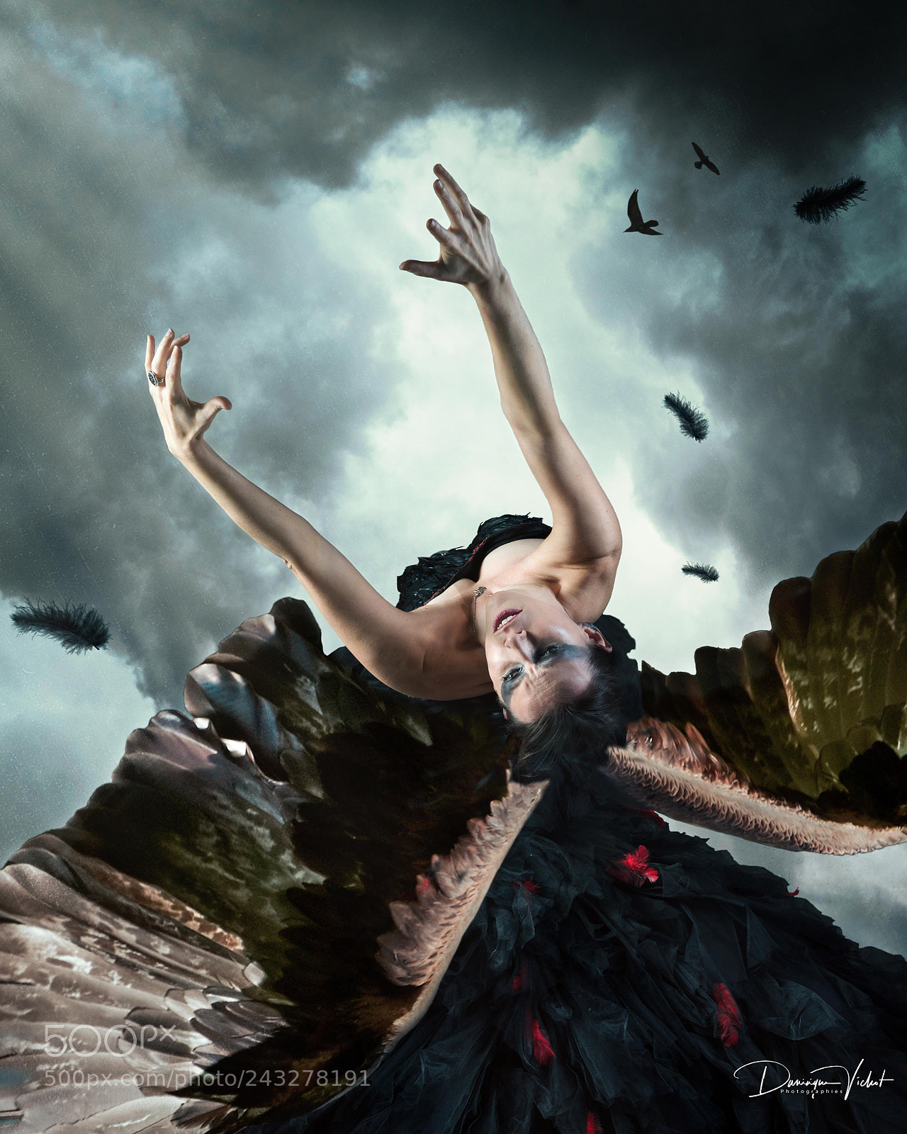 Nikon D610 sample photo. The fallen angel photography