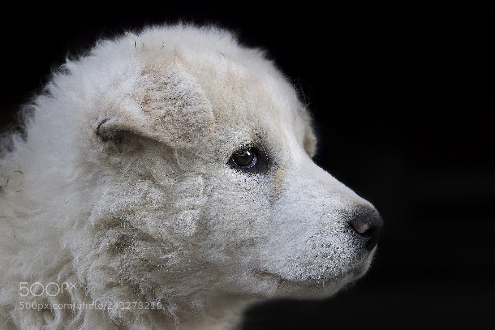 Canon EOS 7D Mark II sample photo. ..wilma.. photography
