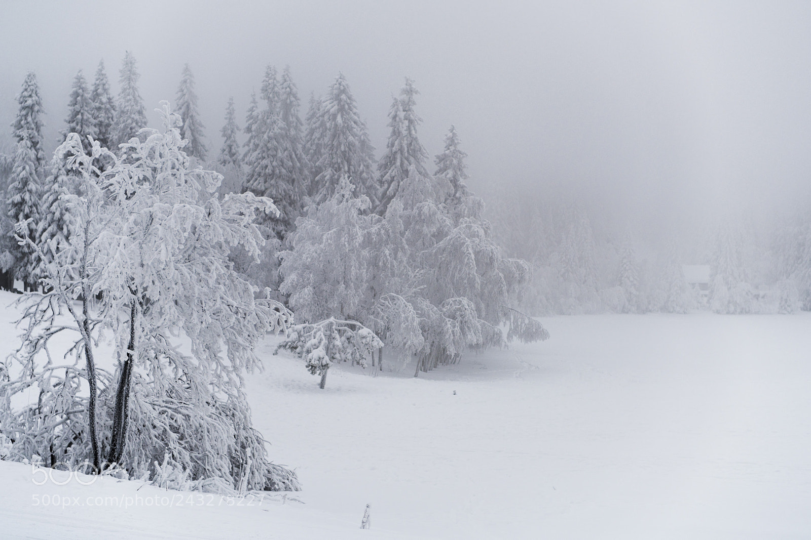 Nikon D850 sample photo. Frozen lake photography