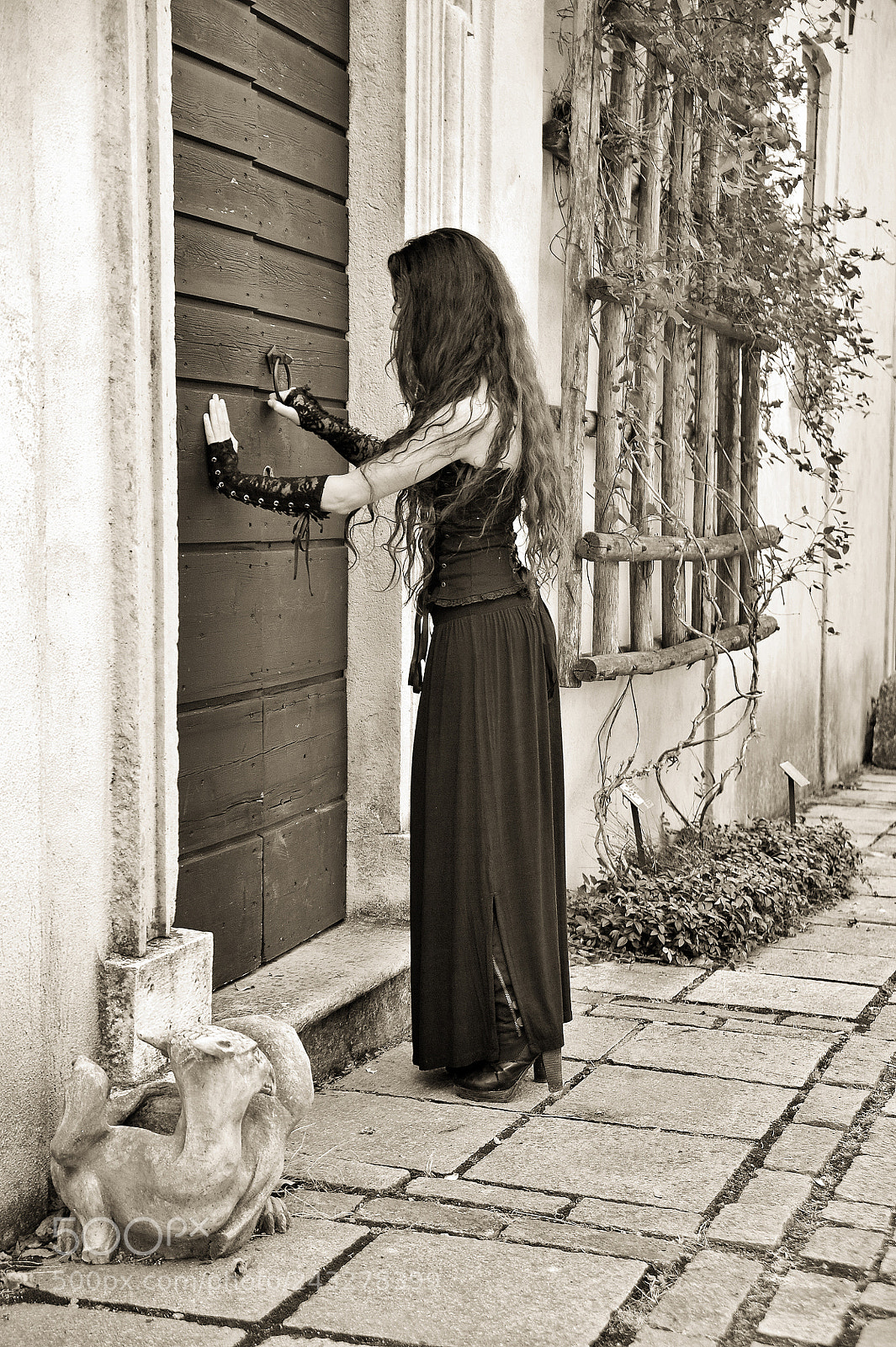 Nikon D700 sample photo. Edgar allan poe's story...digital photography